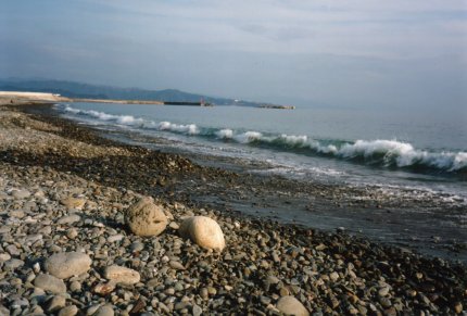 物部川河口の写真