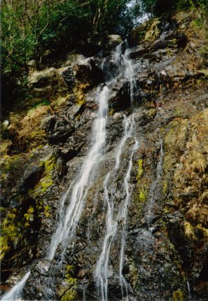 山姥の滝の全景写真