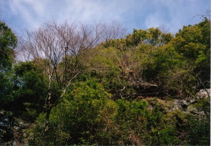 山姥の滝の周りの山の写真