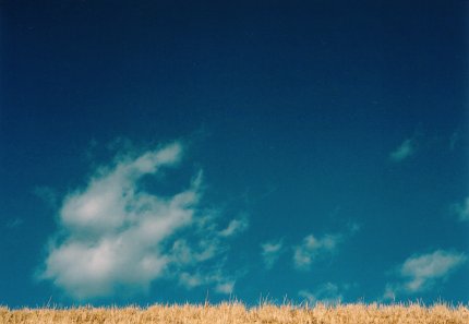 土手の向こう空と雲の写真