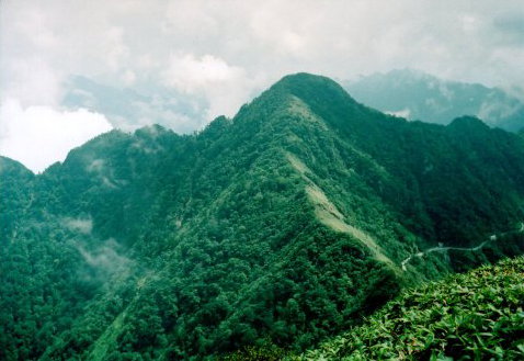 瓶ヶ森山頂から西黒森の写真