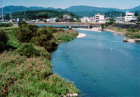 紅葉橋から見た鏡川の写真