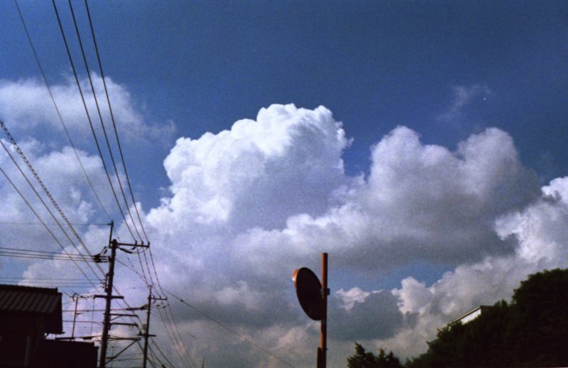 雲を見上げた写真