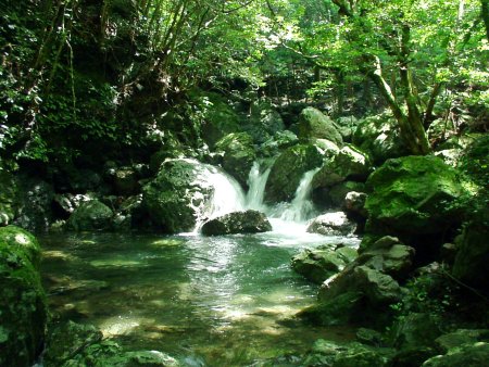 高知市（旧鏡村）穴川川樽の滝手前の渓谷の写真