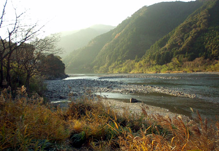 冷え込んだ朝の仁淀川の写真