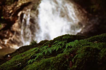 樽の滝下段の苔岩の写真